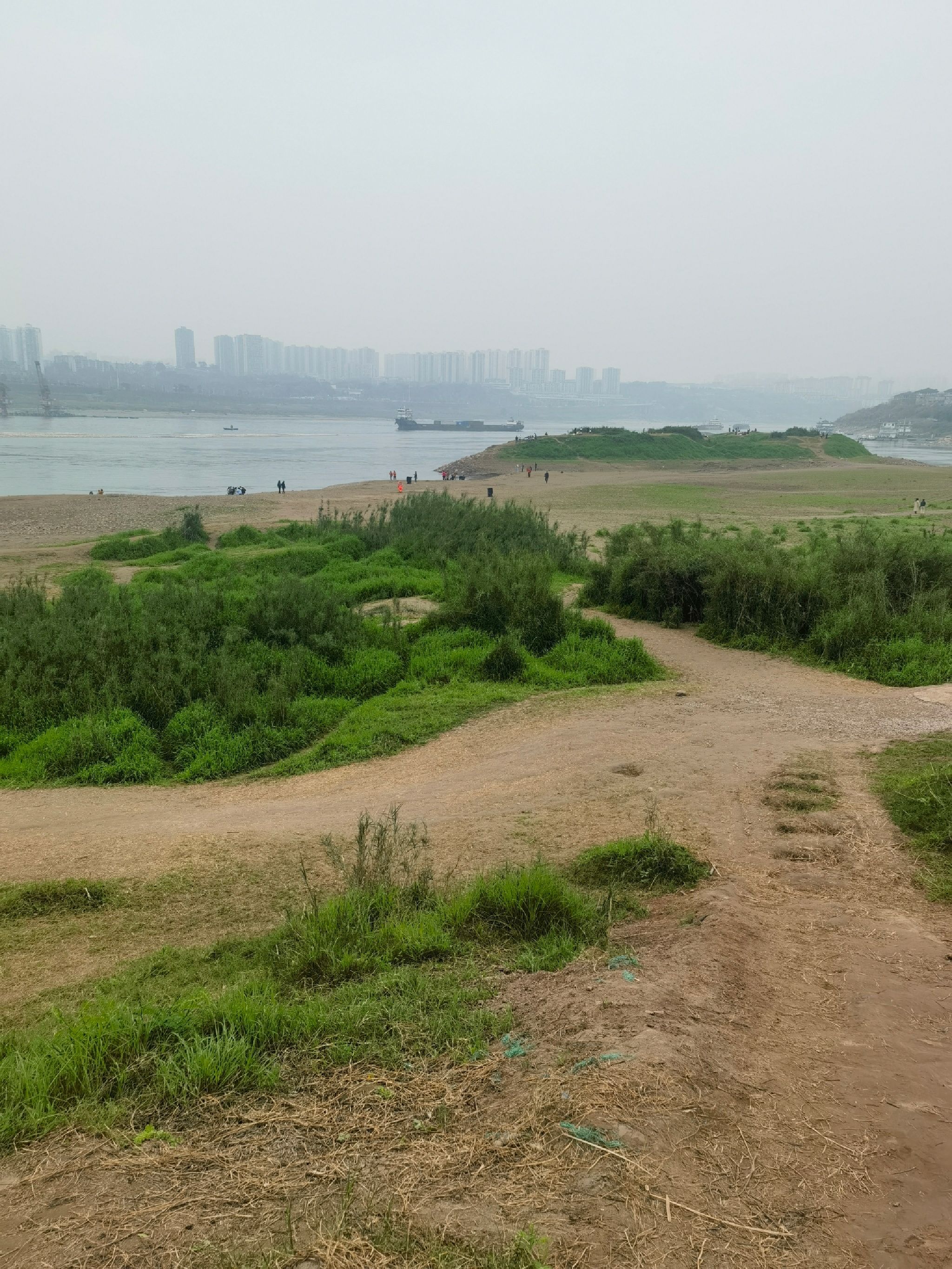 巴滨路湿地公园旅行图片 1