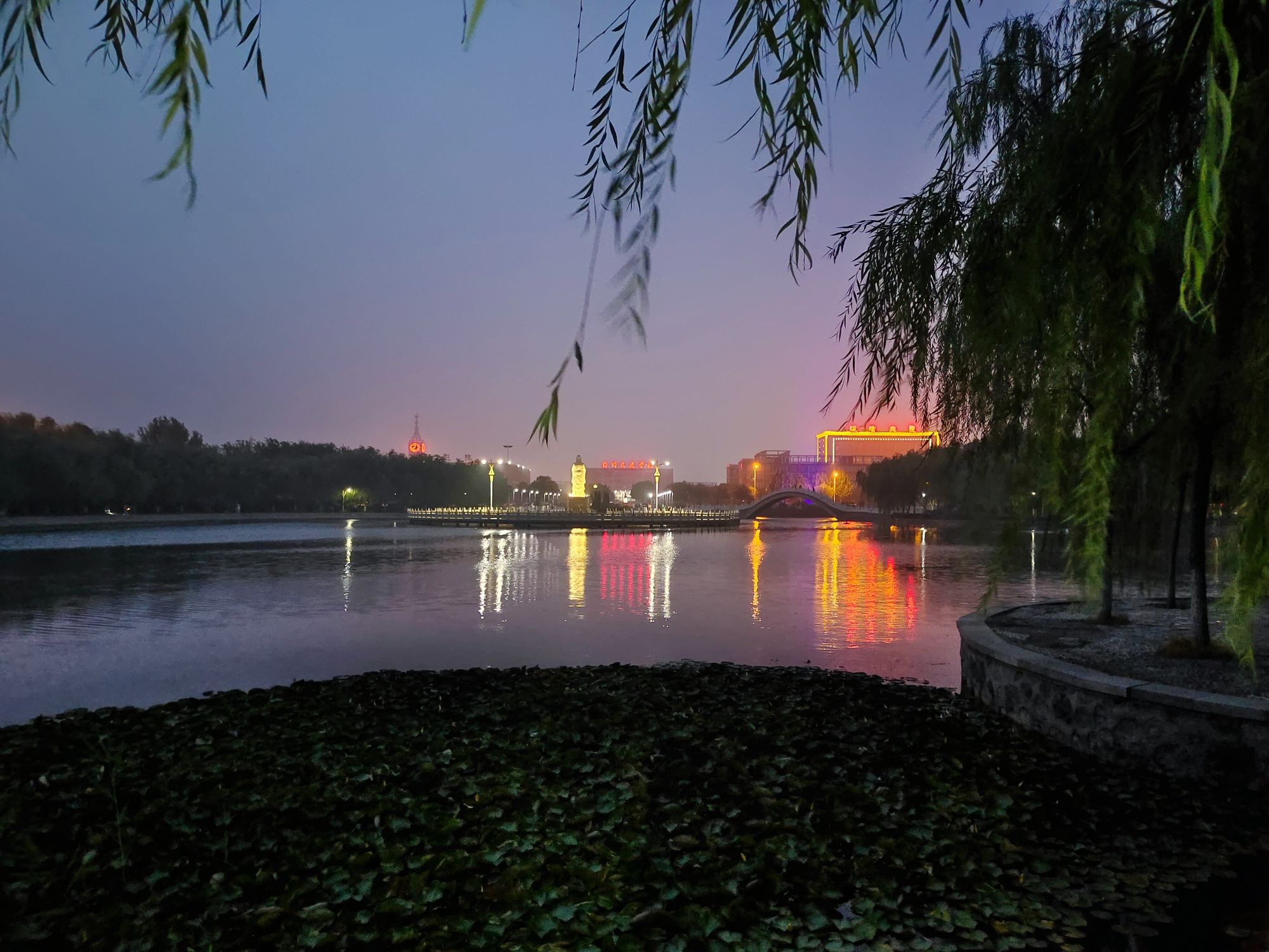 文星湖公园旅行图片 2
