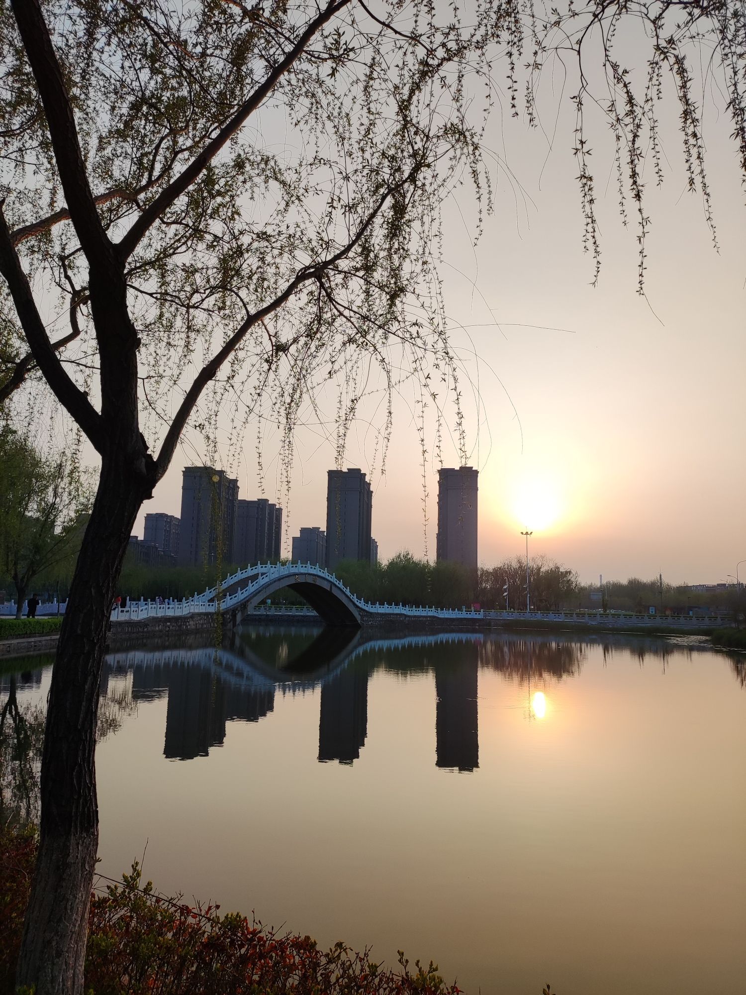 文星湖公园旅行图片 1