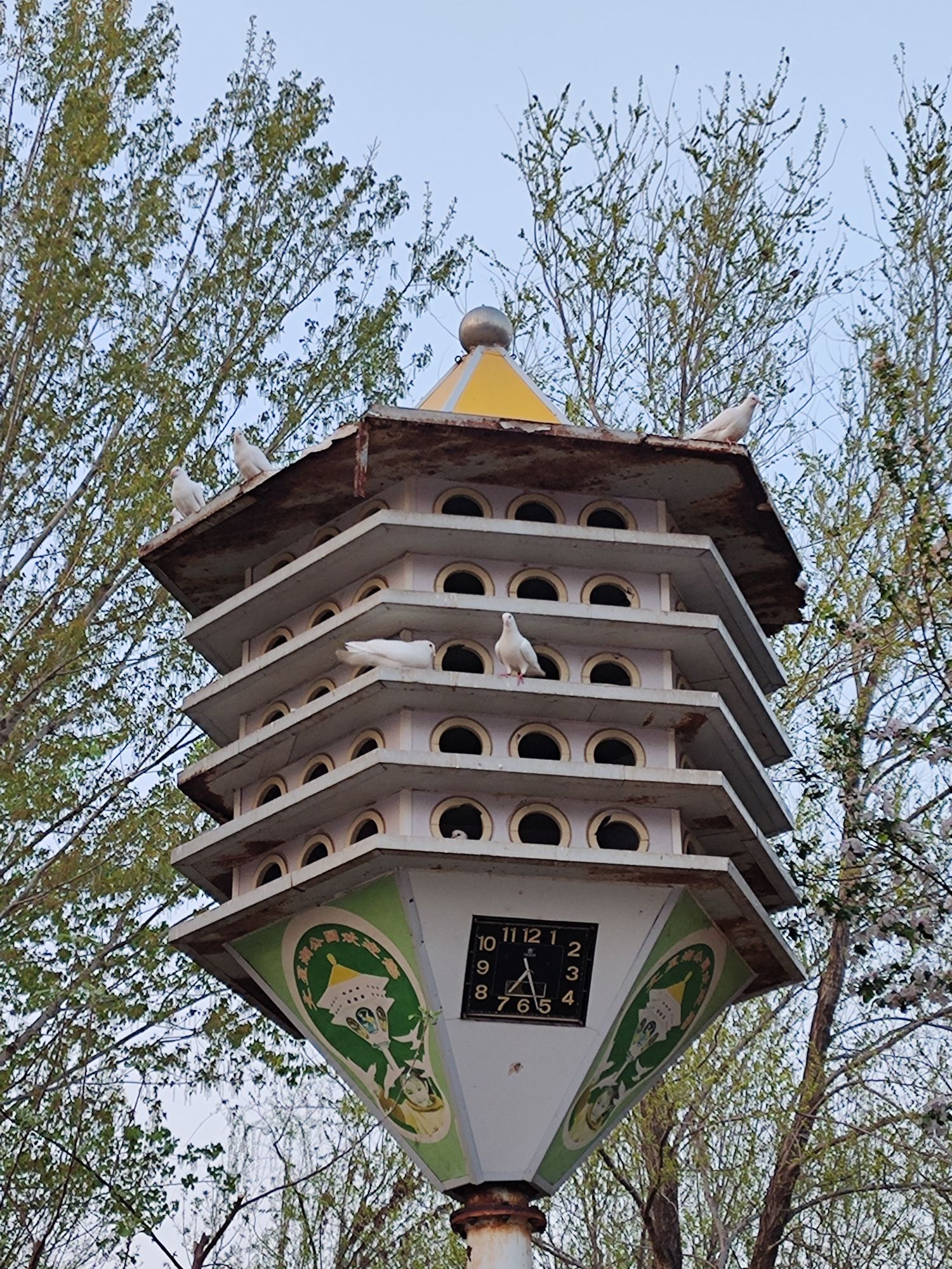 文星湖公园旅行图片 2