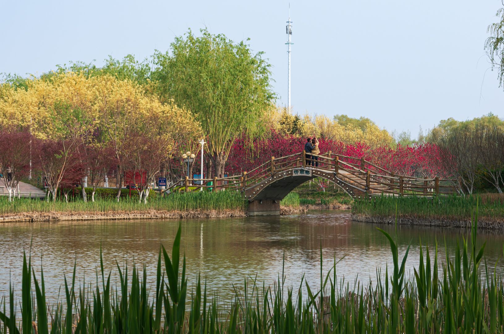 石柏公园旅行图片 3