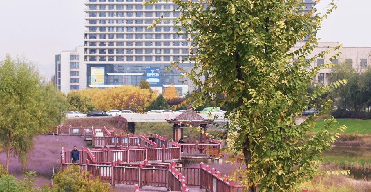 石柏公园旅行图片 2