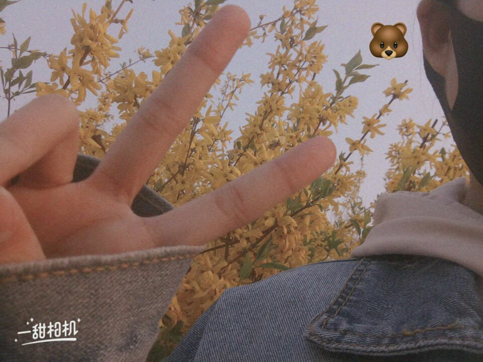 石柏公园旅行图片 2