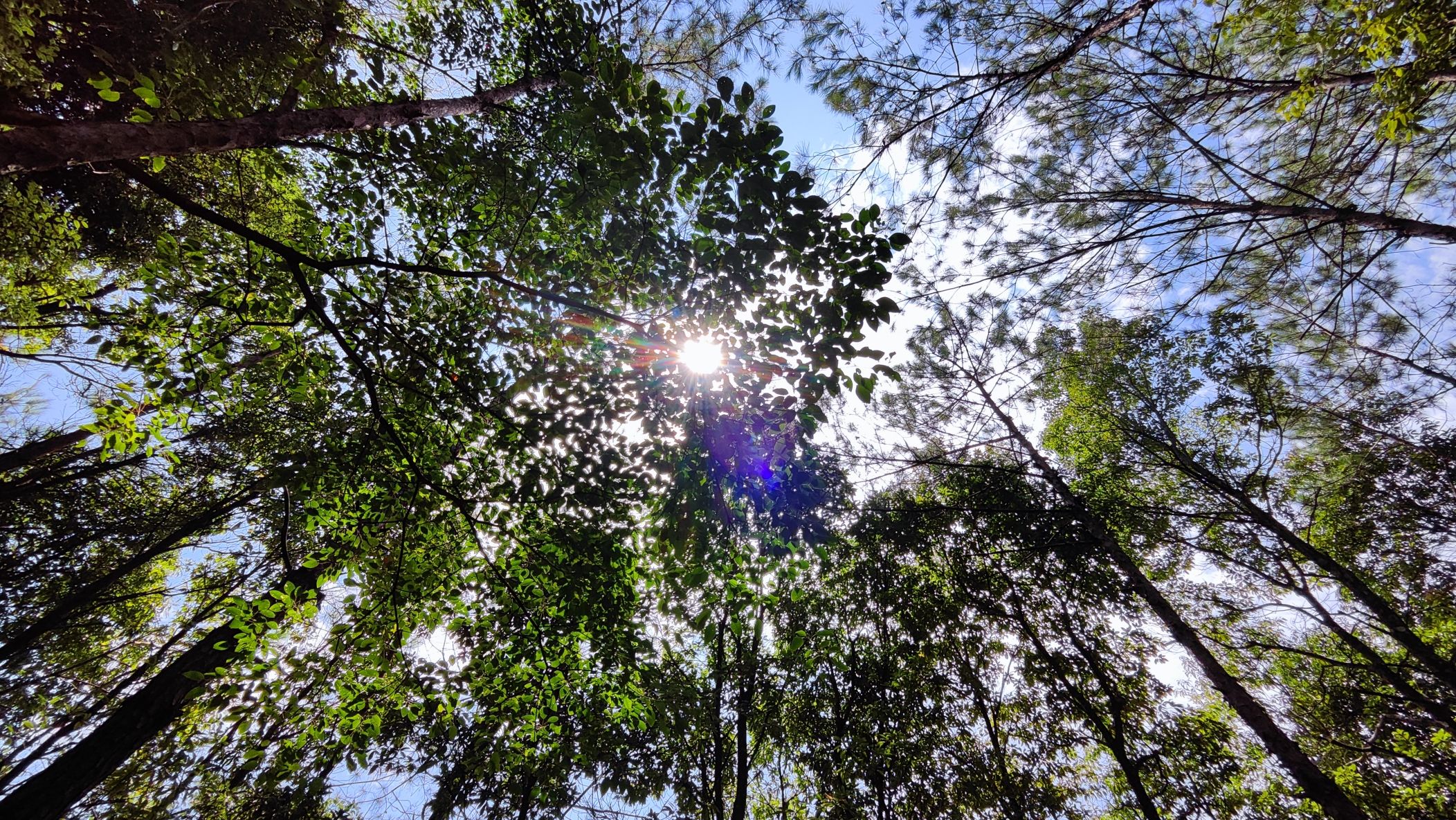 贵竹林公园旅行图片 3