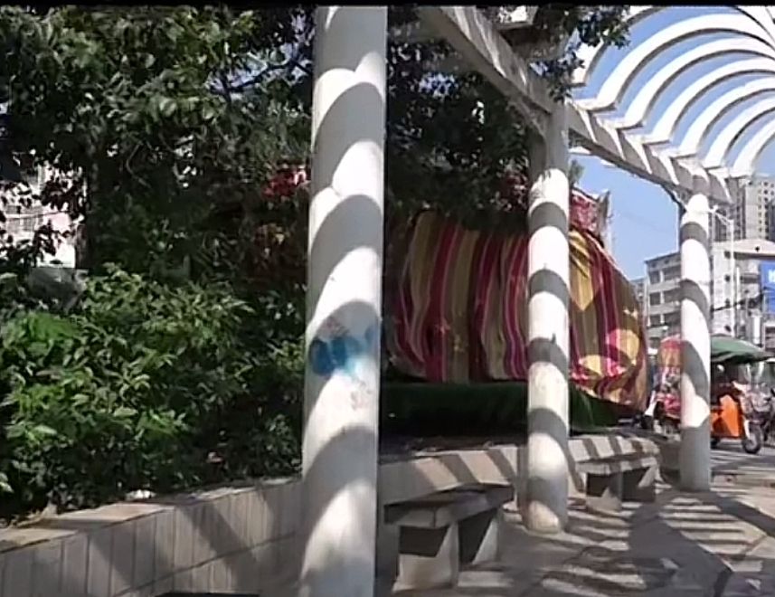 通许小广场旅行图片 1