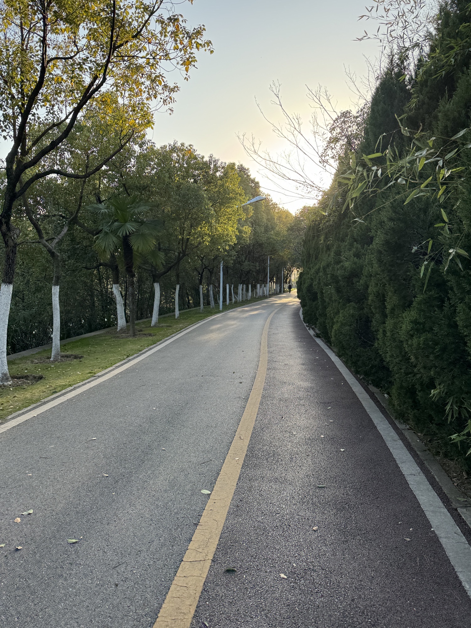 庐州公园旅行图片 1