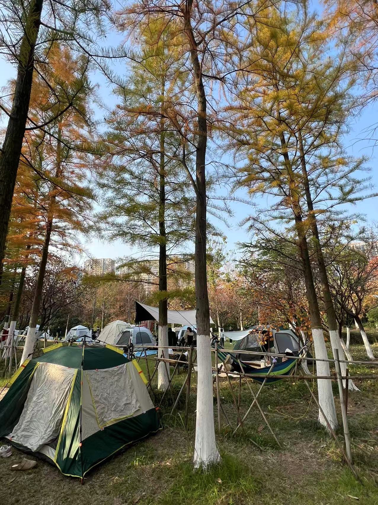 庐州公园旅行图片 2