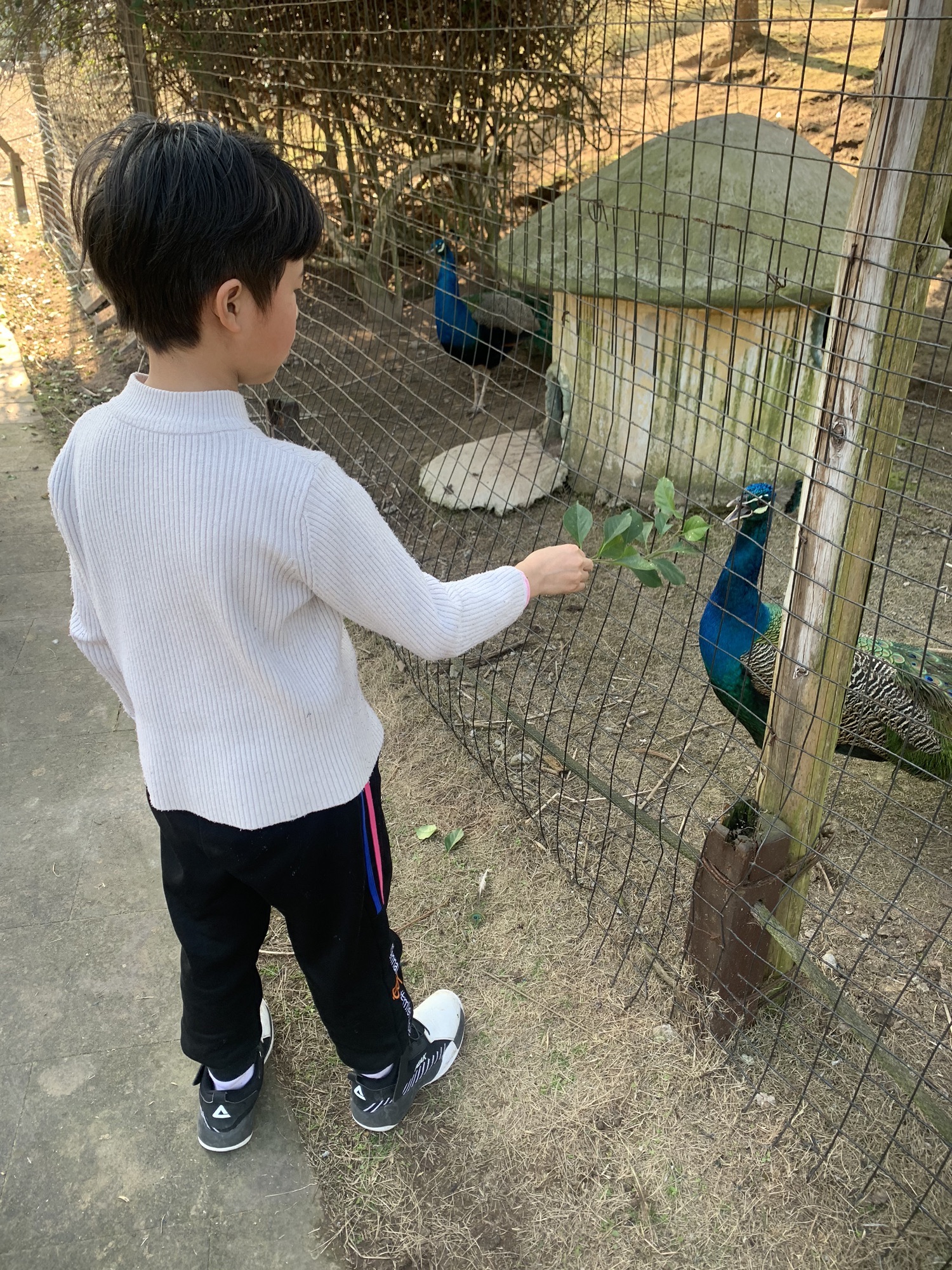 嘉隆西海休闲观光园旅行图片 1