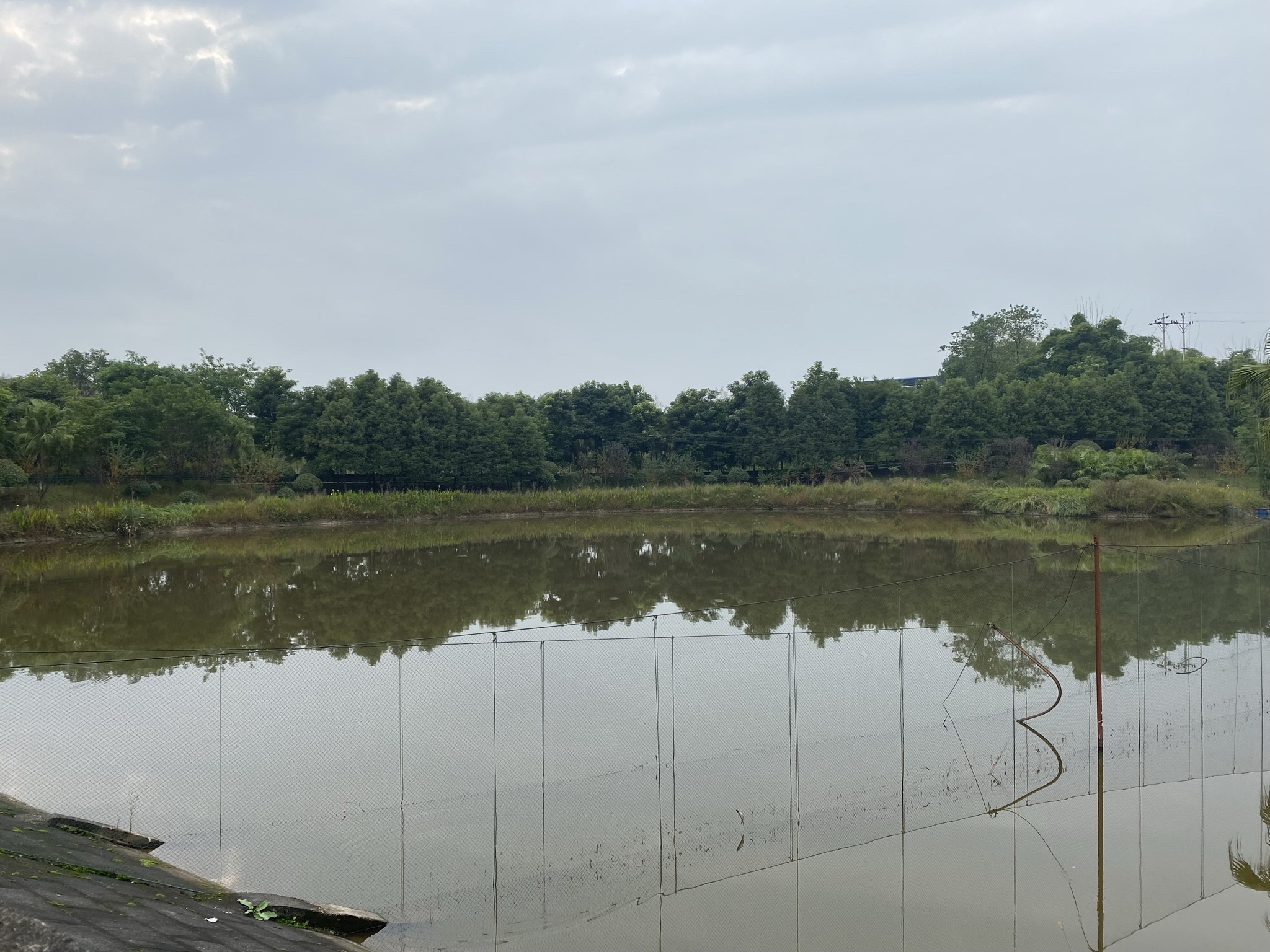 嘉隆西海休闲观光园旅行图片 3