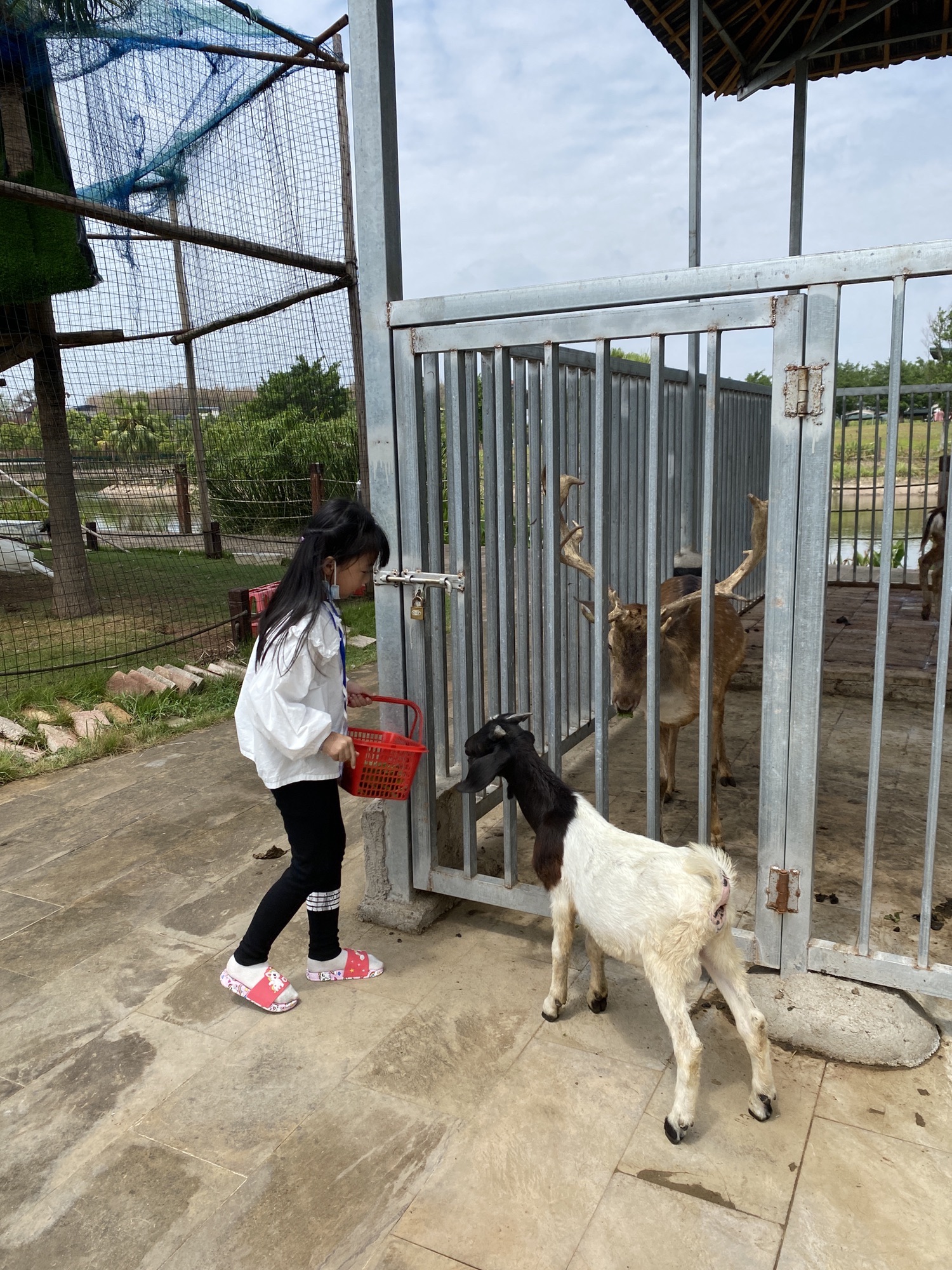 嘉隆西海休闲观光园旅行图片 1