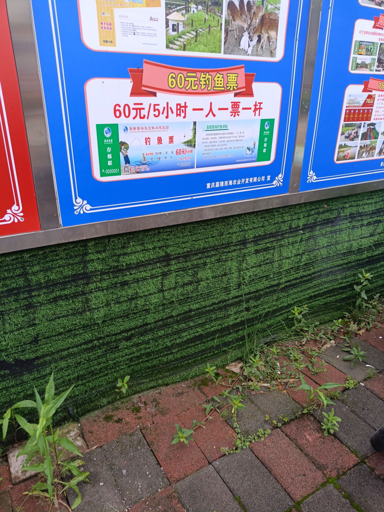 嘉隆西海休闲观光园旅行图片 2