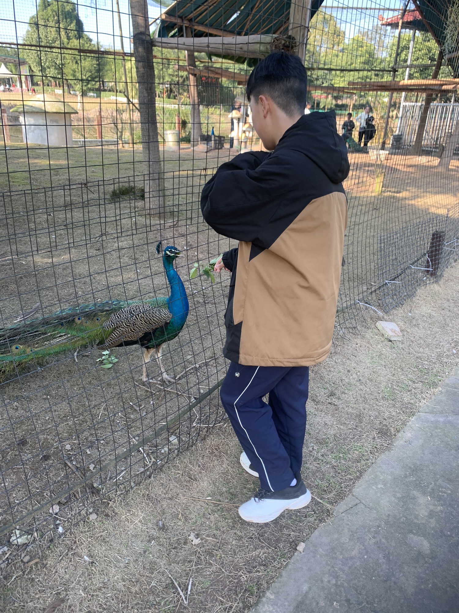 嘉隆西海休闲观光园旅行图片 2