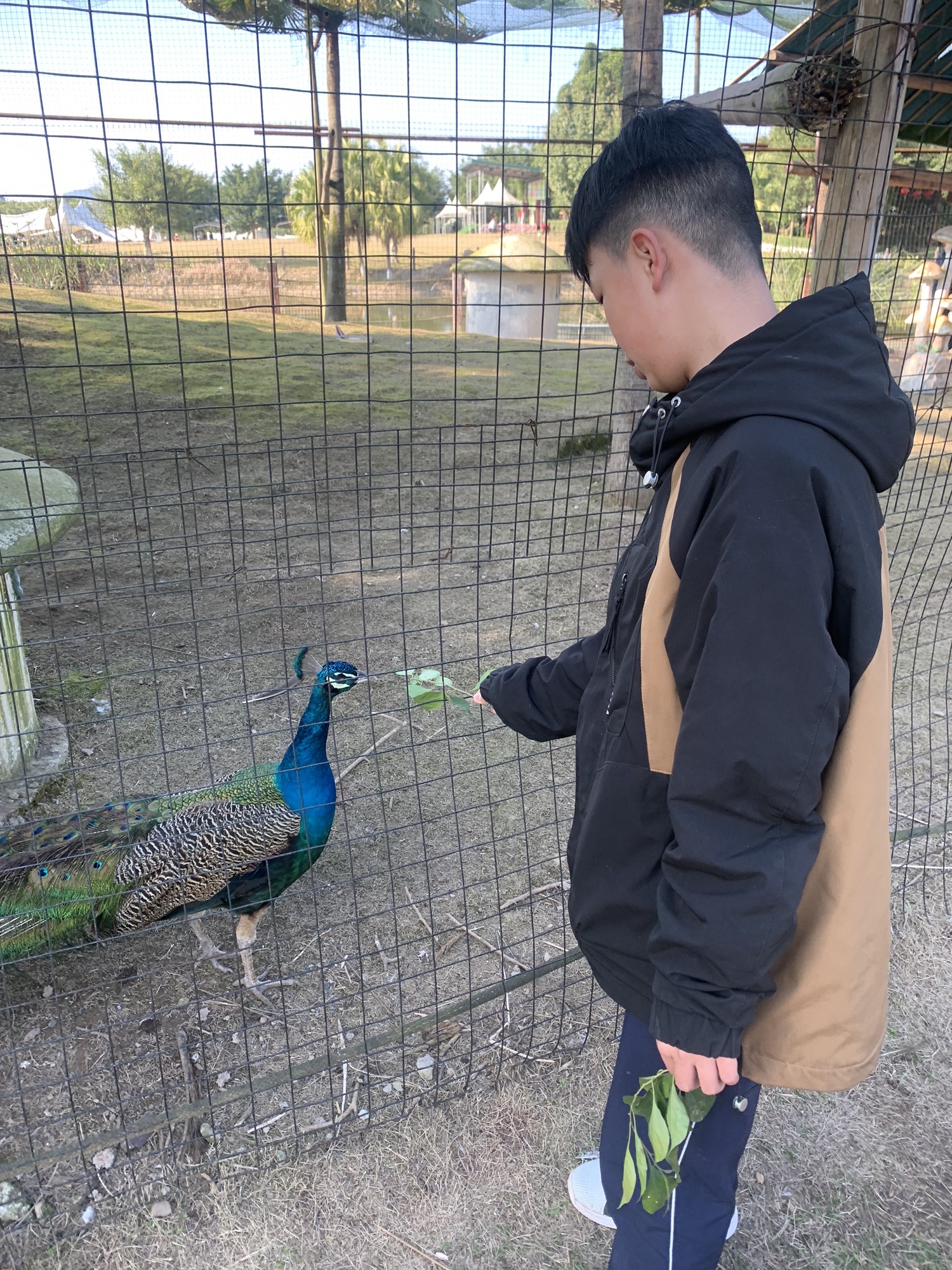 嘉隆西海休闲观光园旅行图片 3