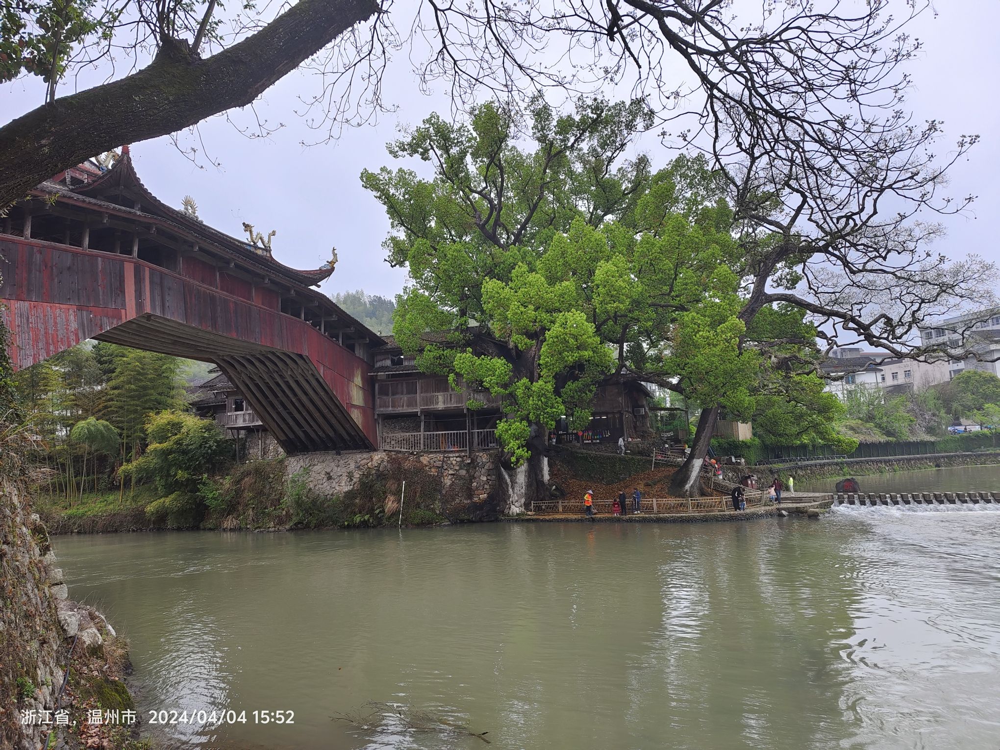 泰顺廊桥文化园旅行图片 2