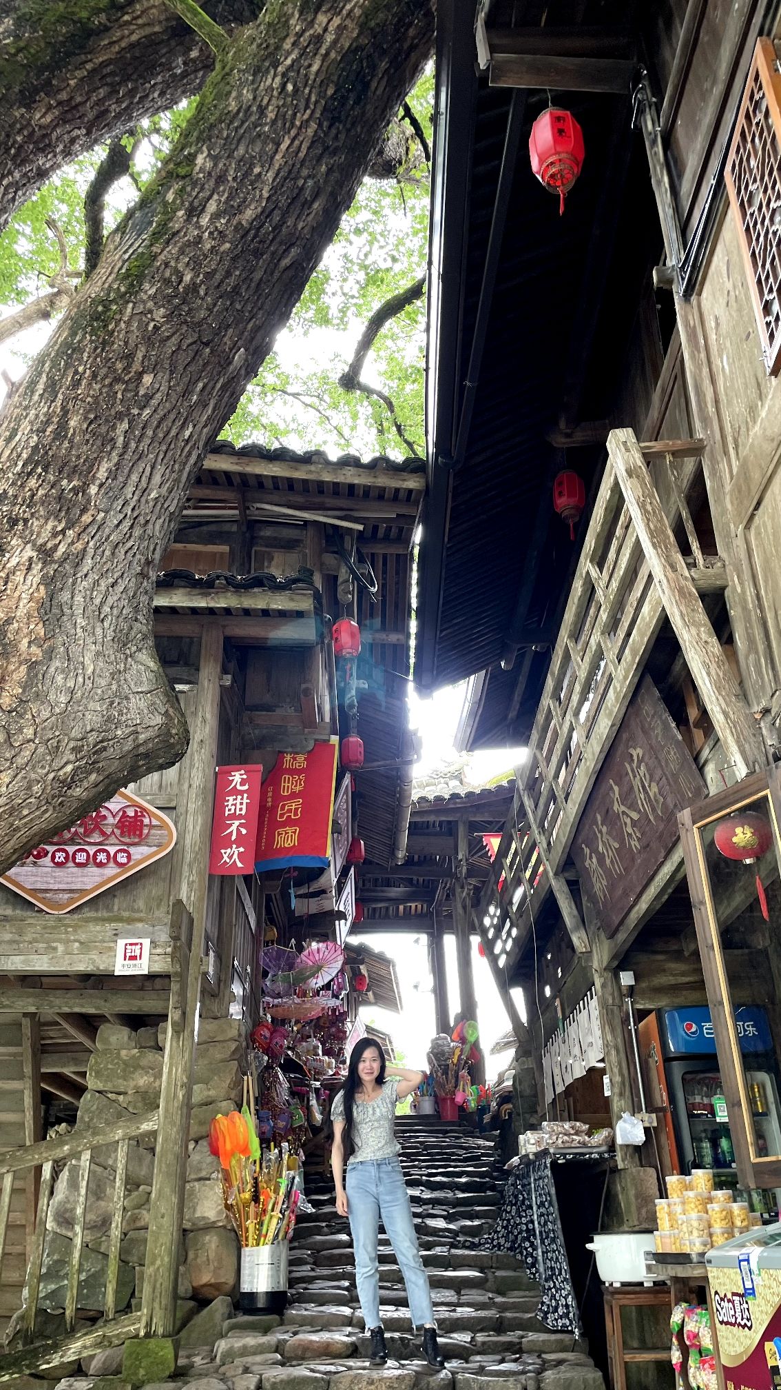 泰顺廊桥文化园旅行图片 3