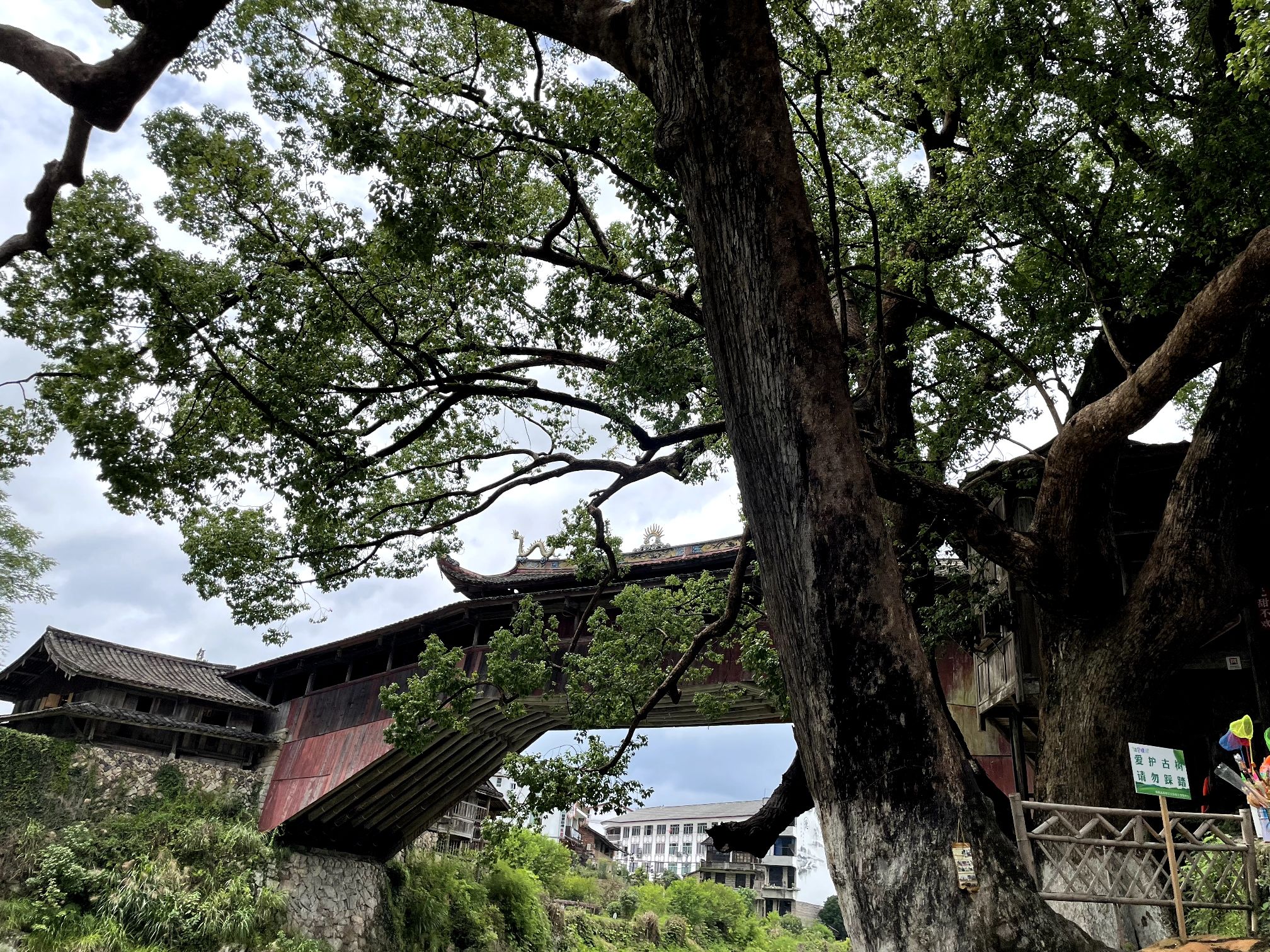 泰顺廊桥文化园旅行图片 2