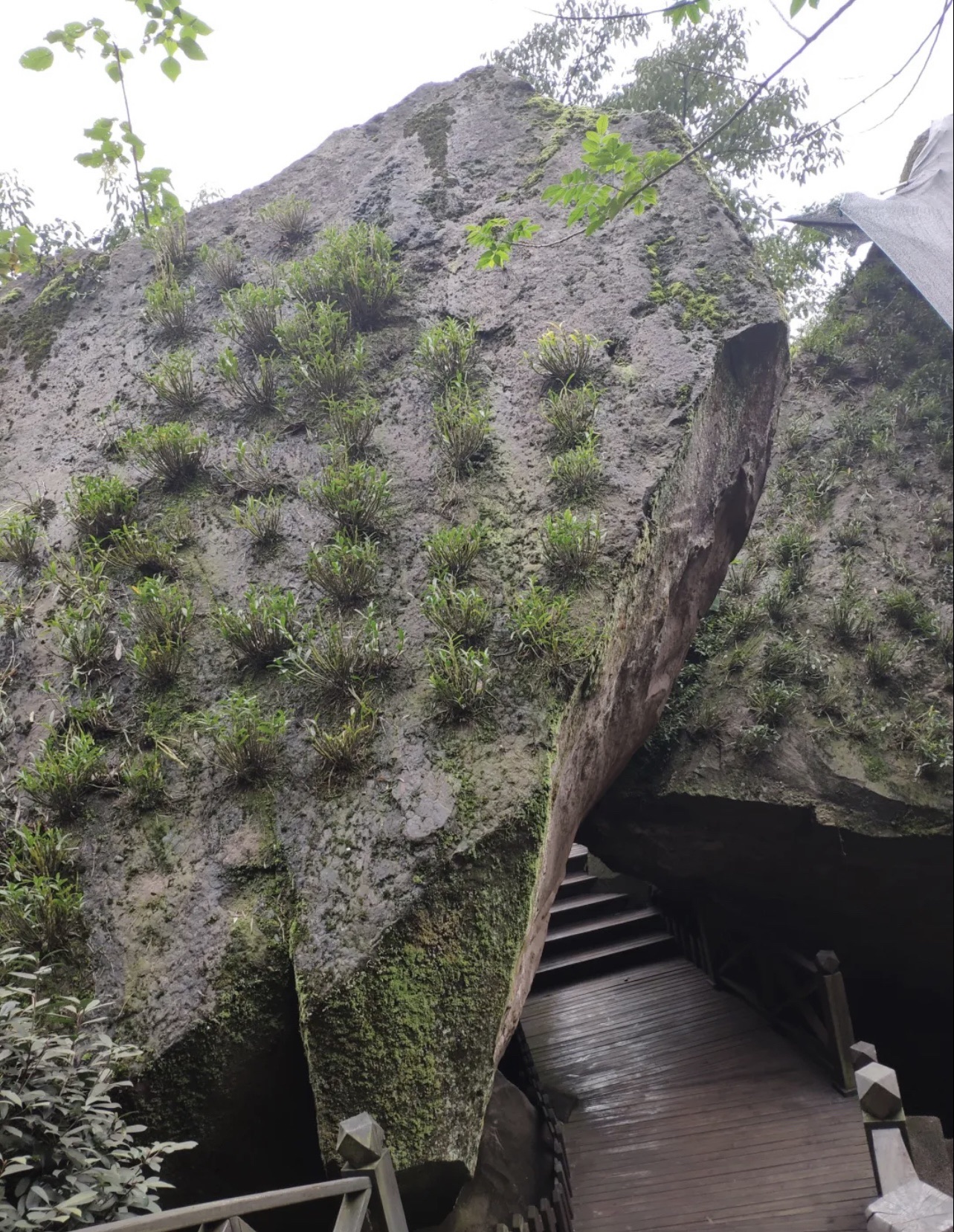 转石奇观景区旅行图片 2