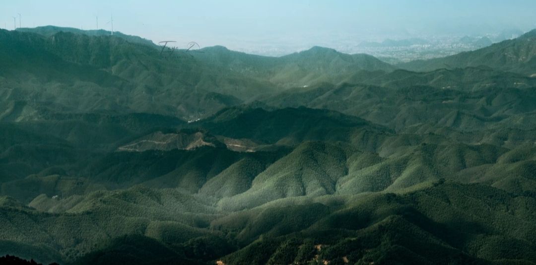 高山草甸旅行图片 2
