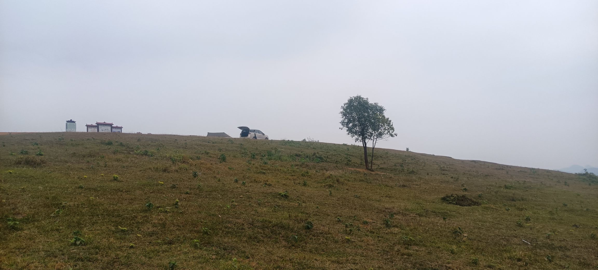 高山草甸旅行图片 3