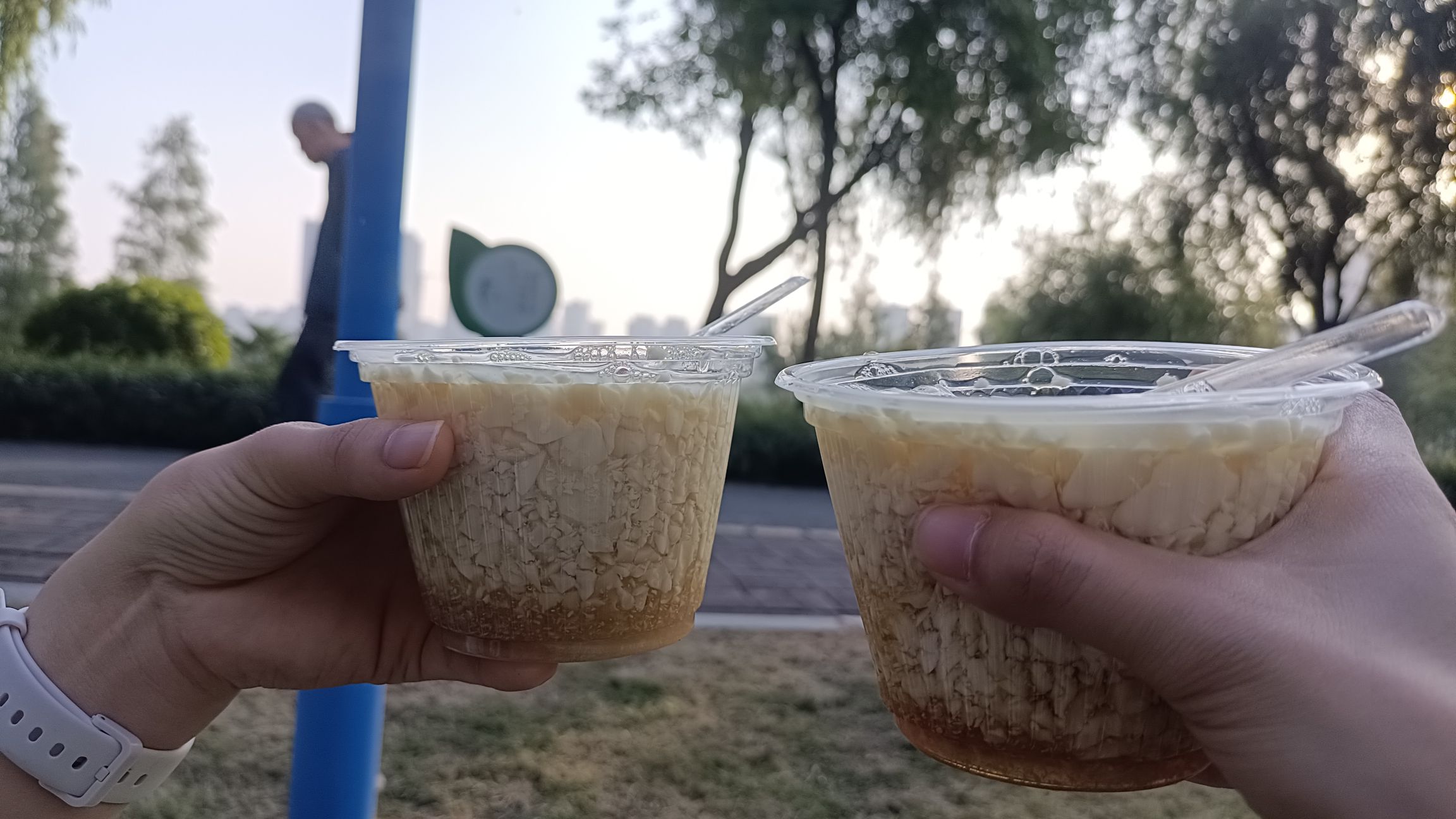 玉带公园旅行图片 2