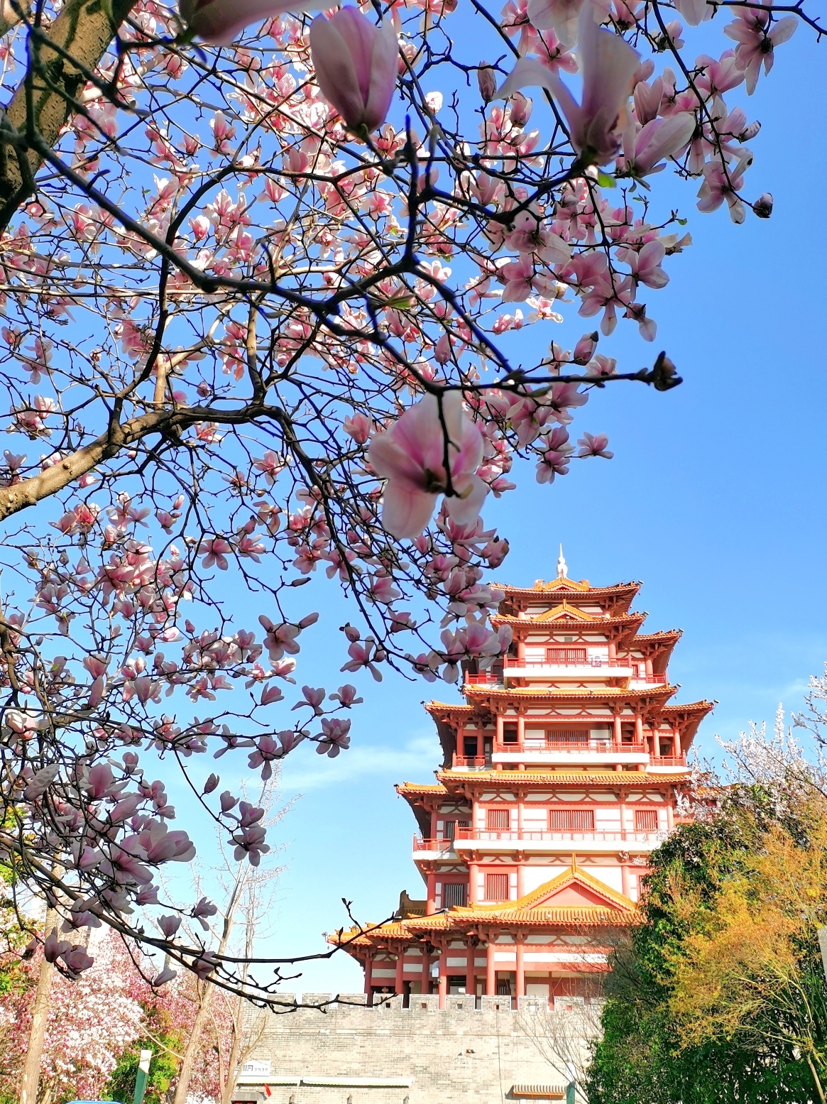 京杭运河风光带旅行图片 1