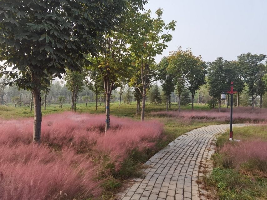 淇水樱华园旅行图片 3