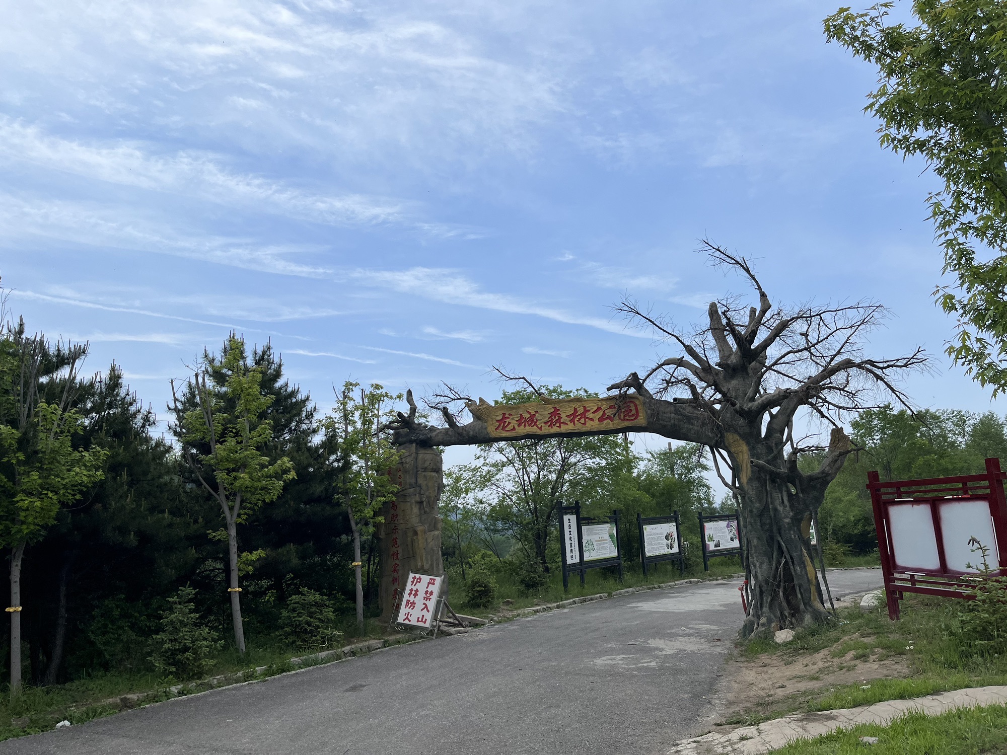 龙城森林公园旅行图片 1
