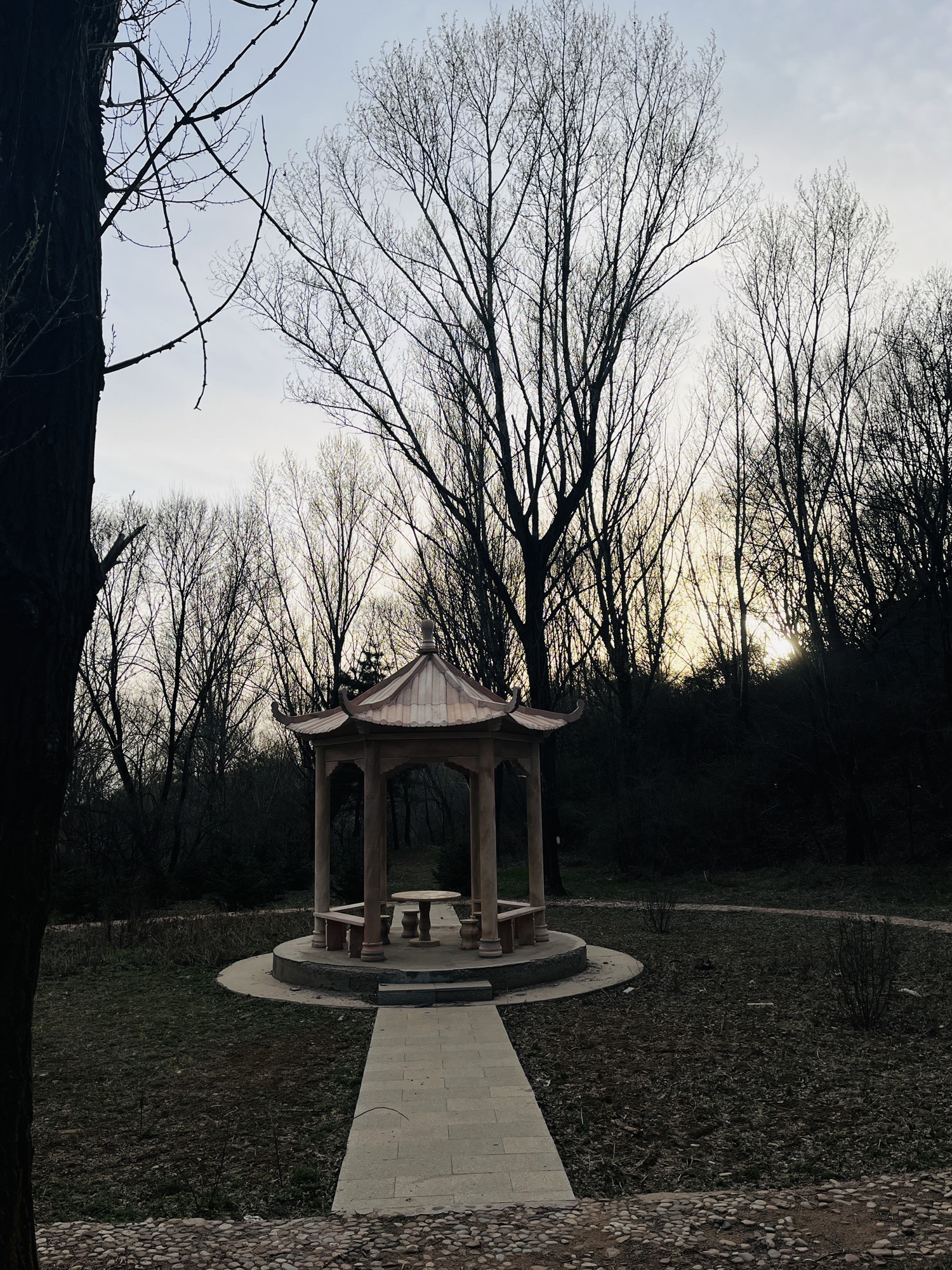 龙城森林公园旅行图片 2