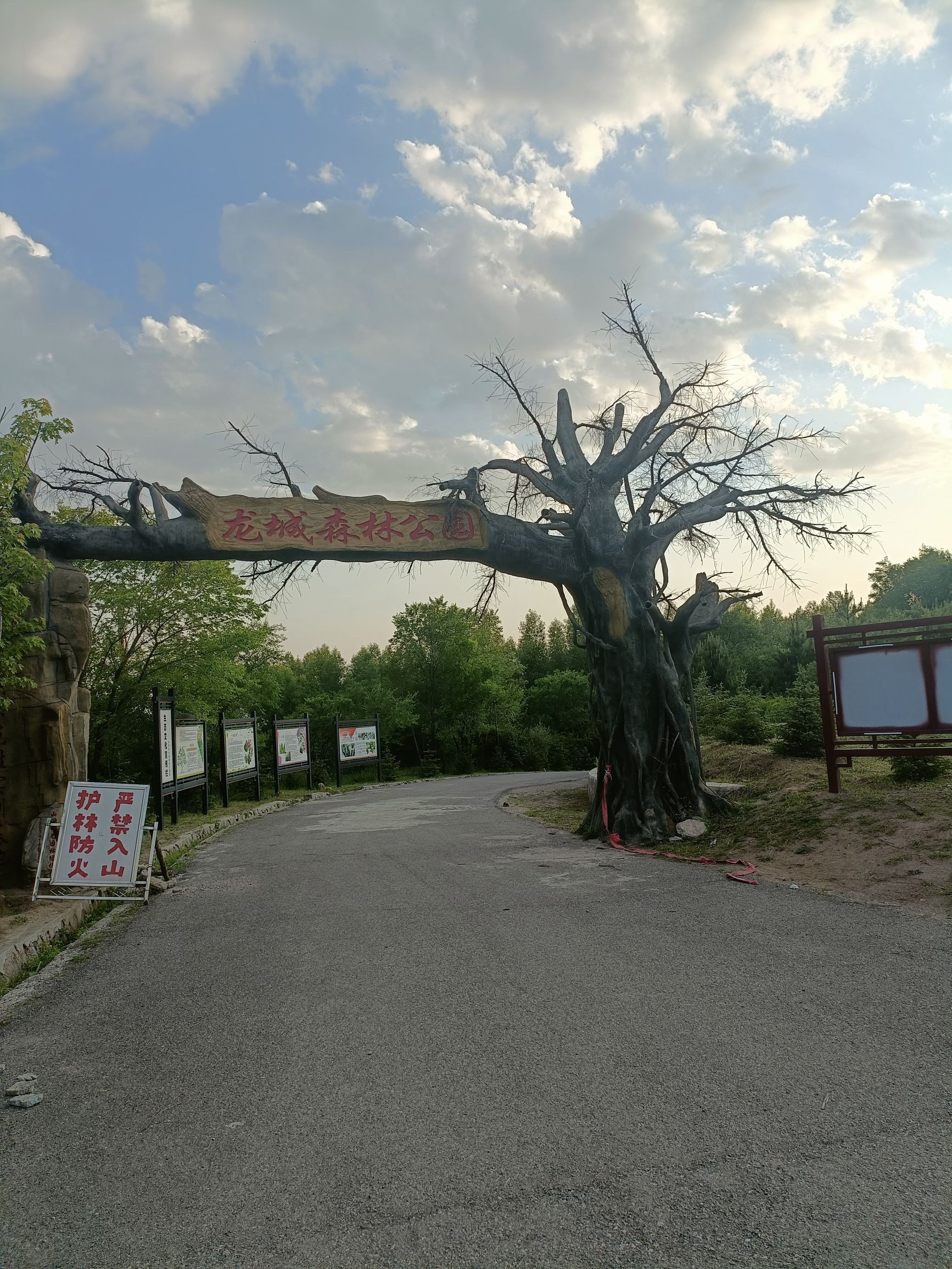 龙城森林公园旅行图片 2