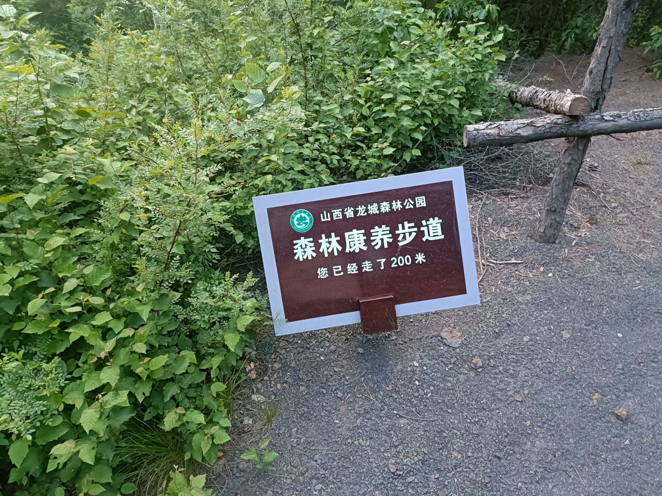 龙城森林公园旅行图片 1