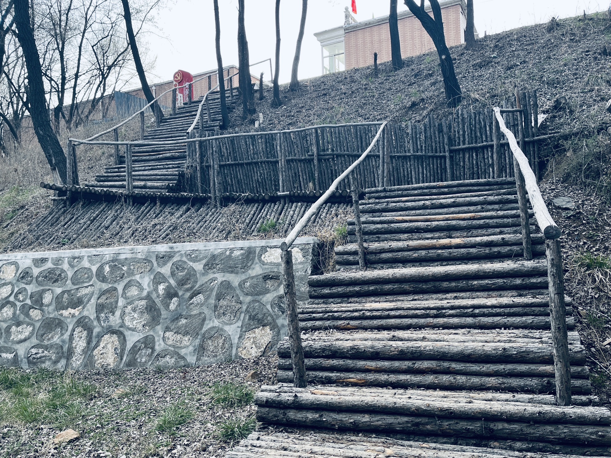 龙城森林公园旅行图片 1