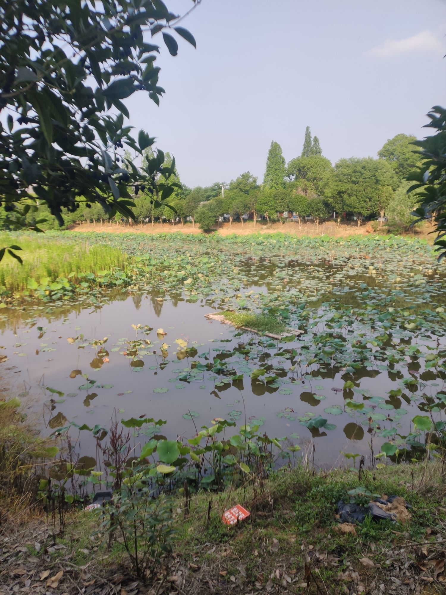 长城园便民快充服务站旅行图片 3