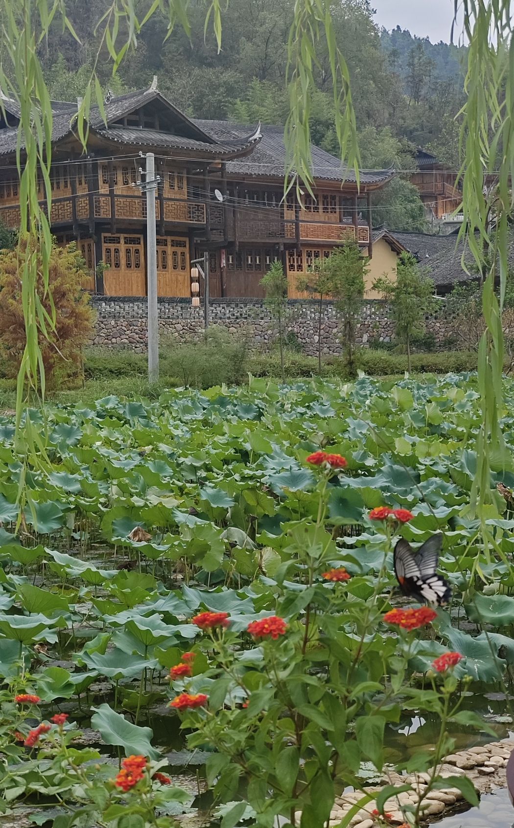 惹巴拉旅游景区旅行图片 1