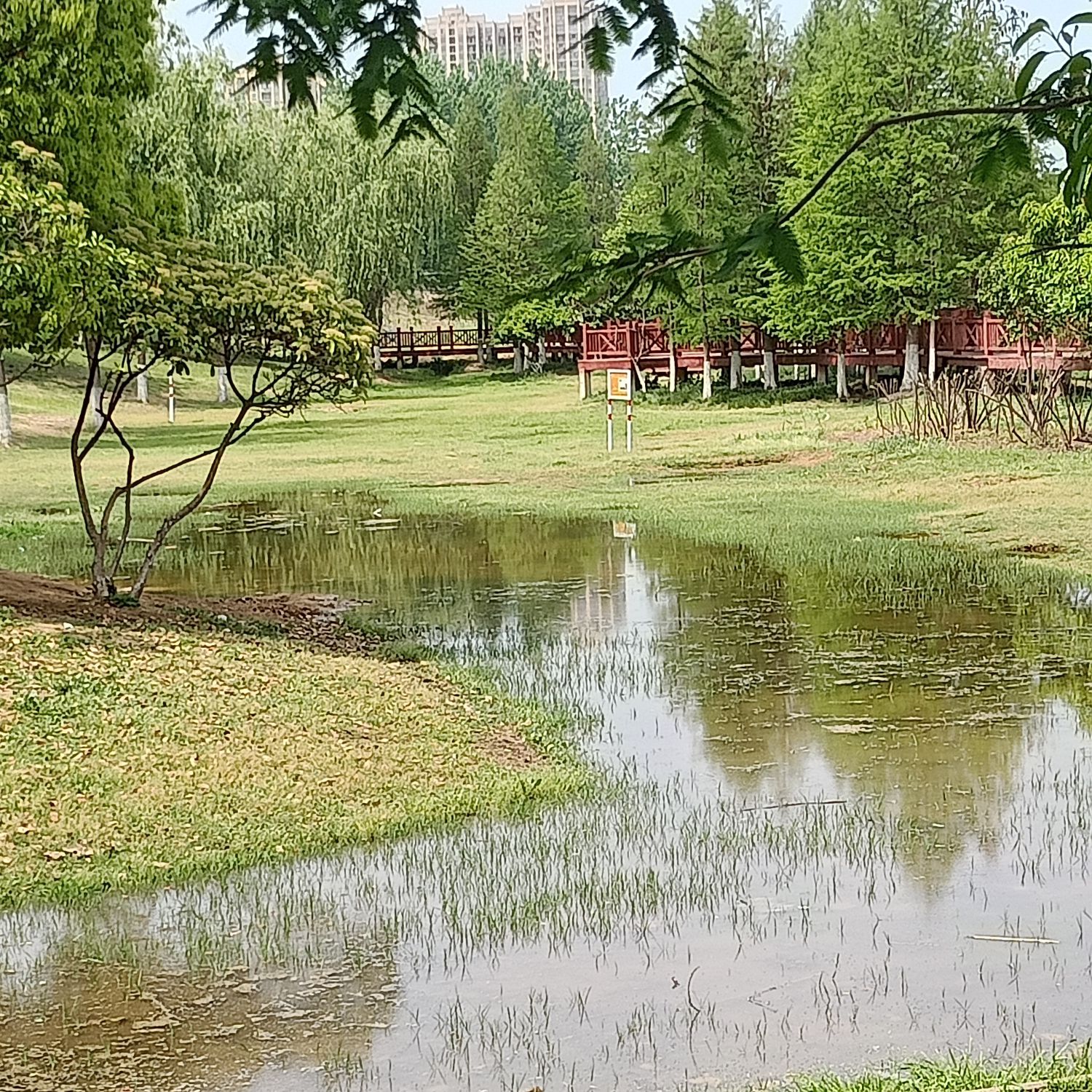 滨河公园旅行图片 1