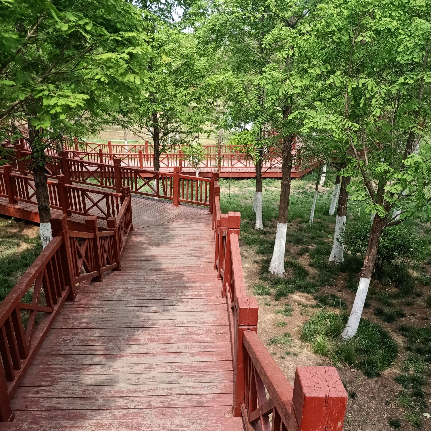 滨河公园旅行图片 2
