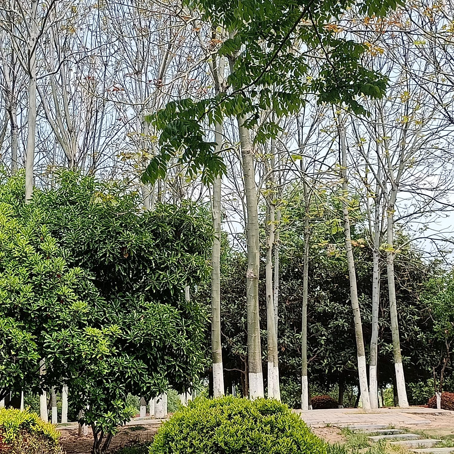 滨河公园旅行图片 3