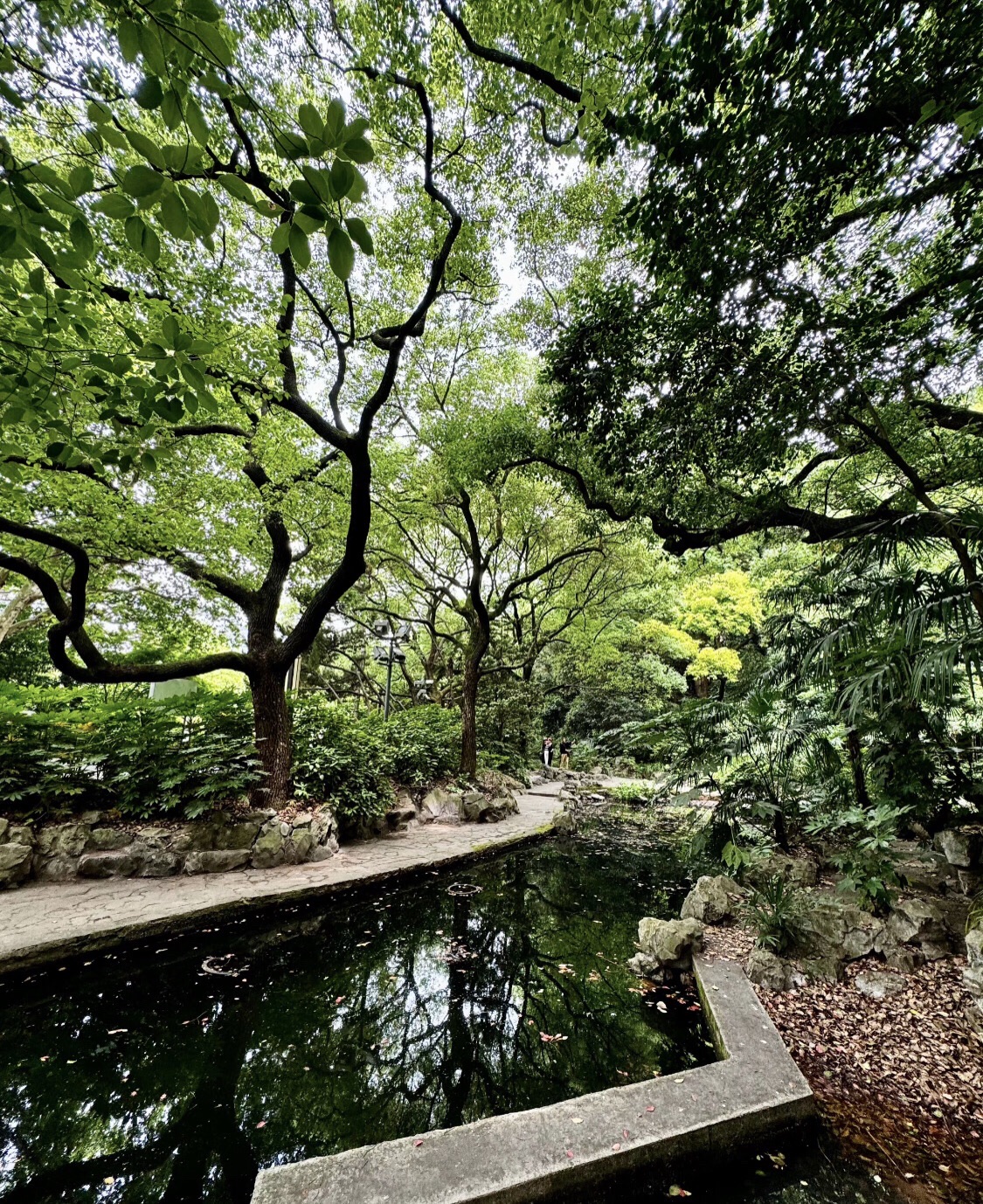 凤凰湖公园旅行图片 3