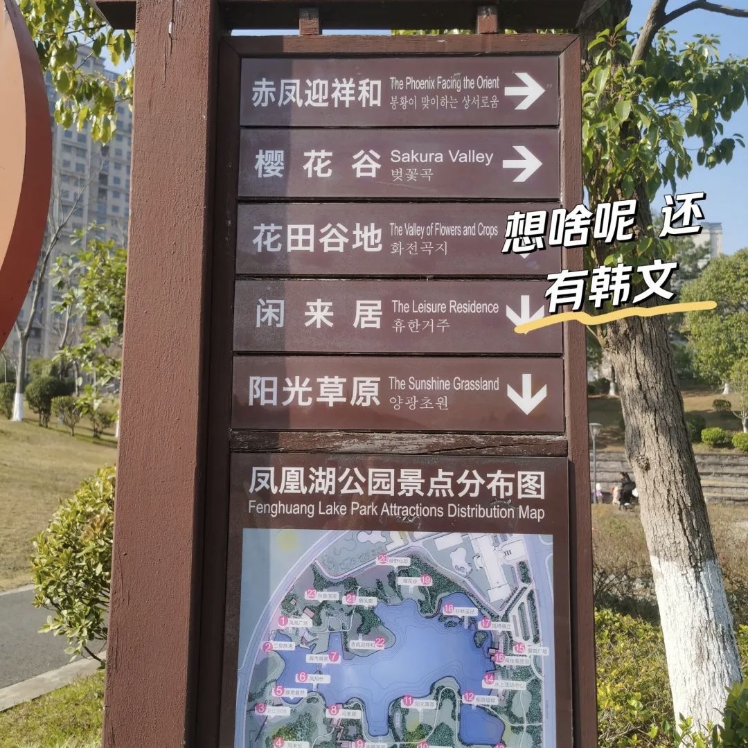 凤凰湖公园旅行图片 2