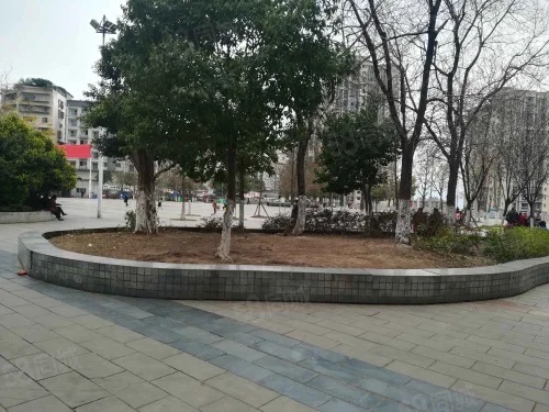 枇杷坪广场旅行图片 3