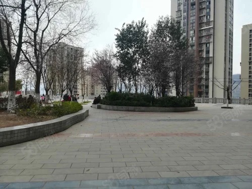 枇杷坪广场旅行图片 1