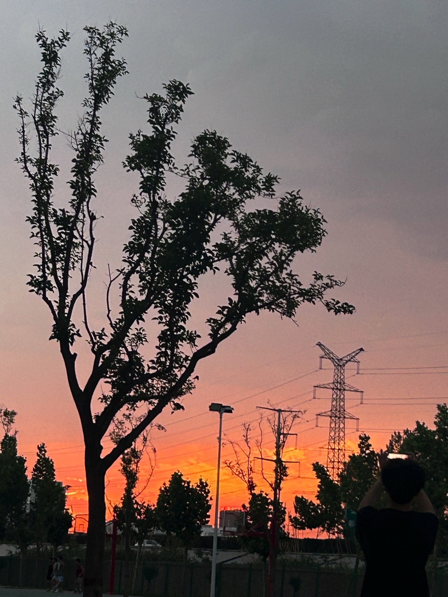 后营喷泉旅行图片 3