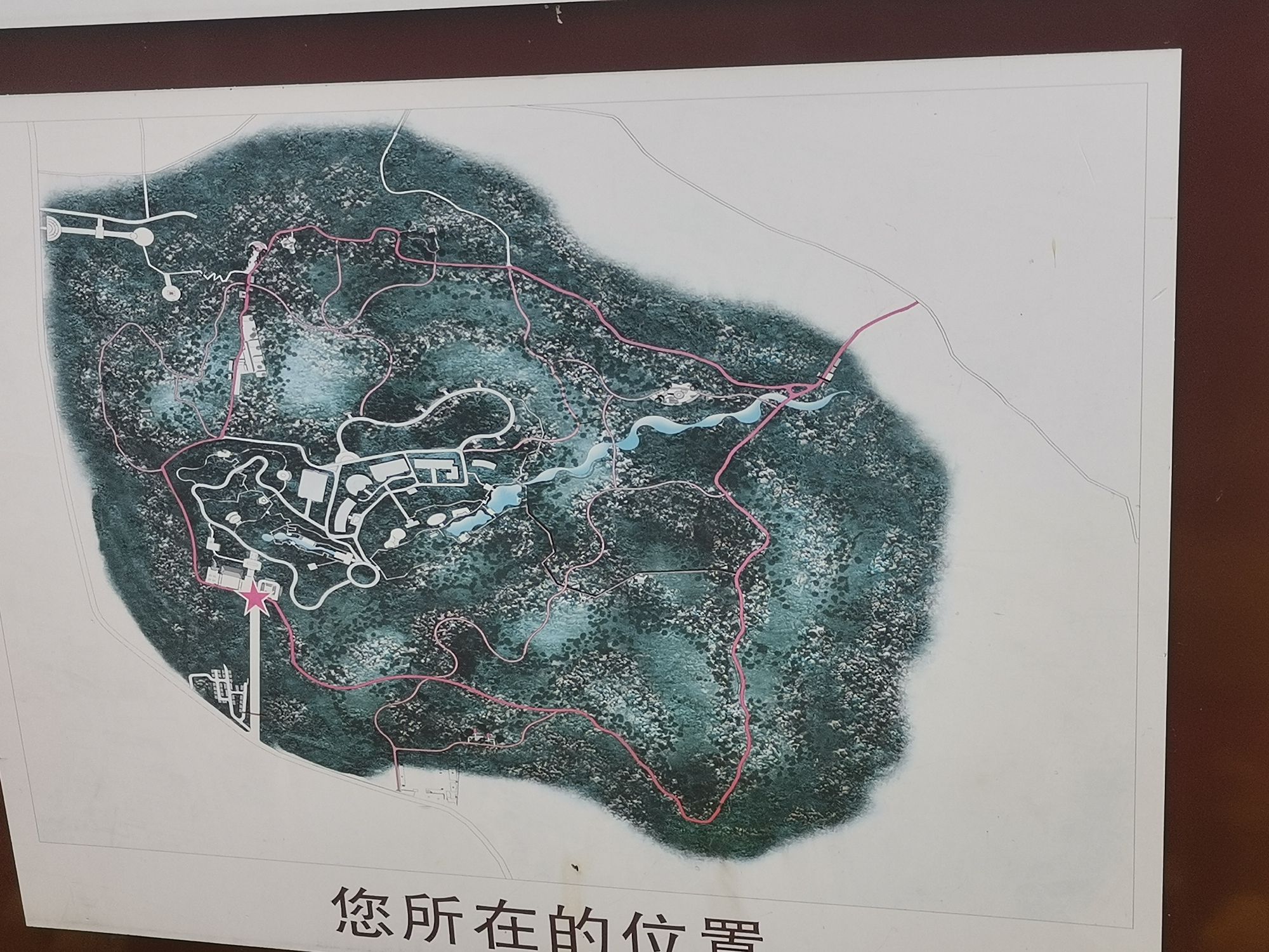 南山森林公园旅行图片 2