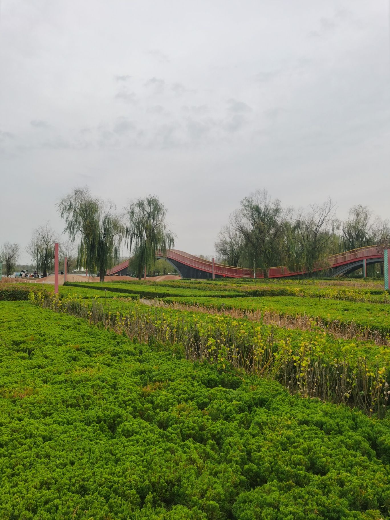 郯城县滨河人民公园旅行图片 1