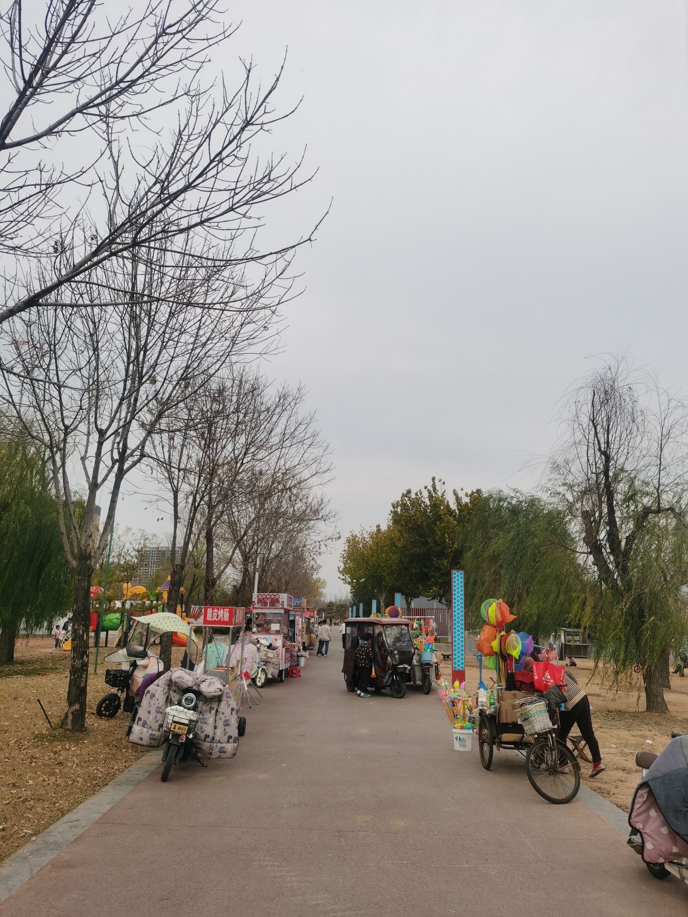 郯城县滨河人民公园旅行图片 3