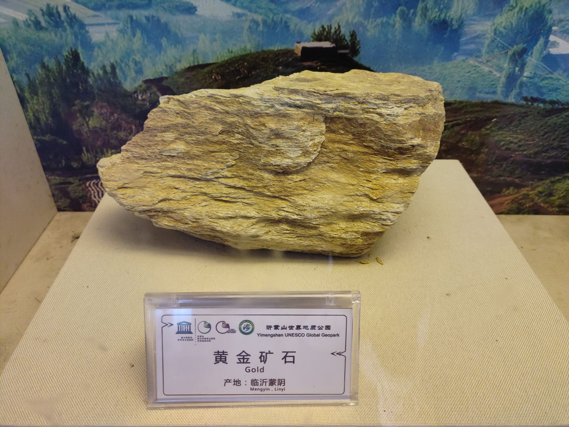 沂蒙山世界地质公园岱崮园区博物馆旅行图片 1
