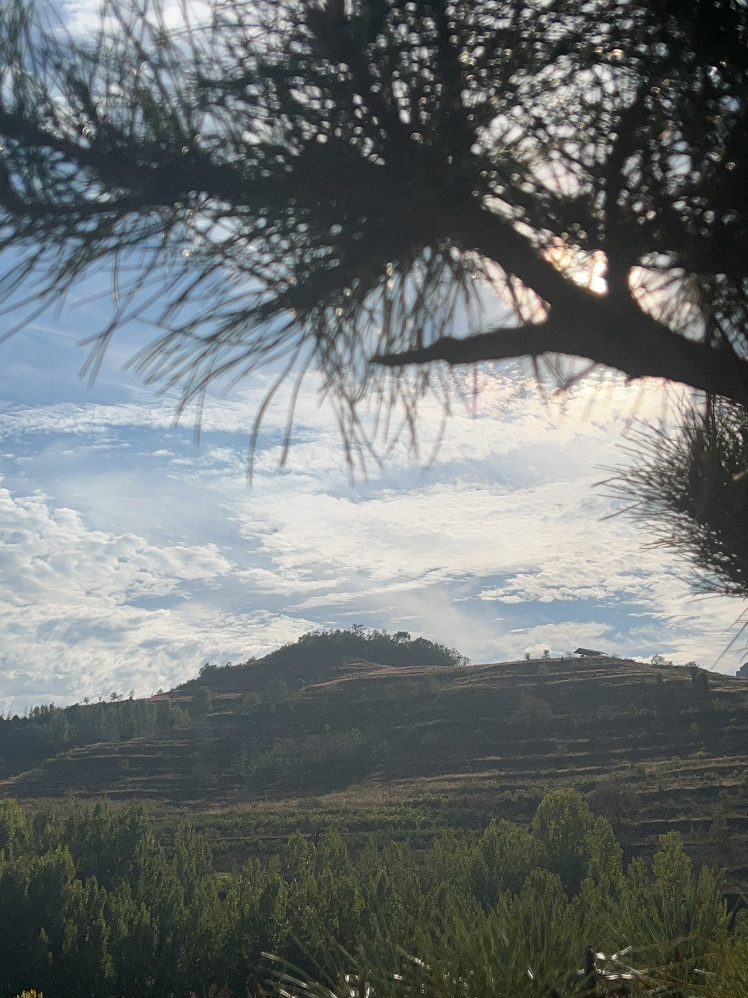 沂蒙山世界地质公园岱崮园区博物馆旅行图片 1