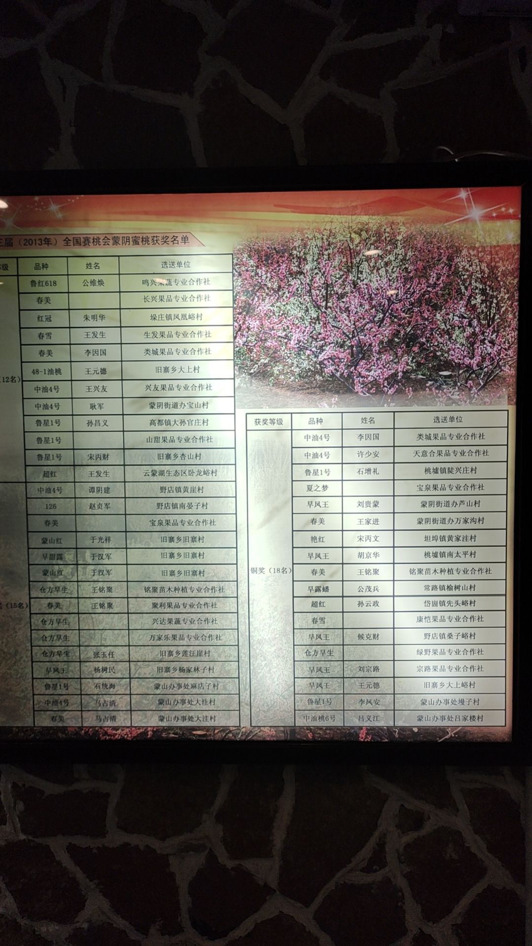 沂蒙山世界地质公园岱崮园区博物馆旅行图片 3