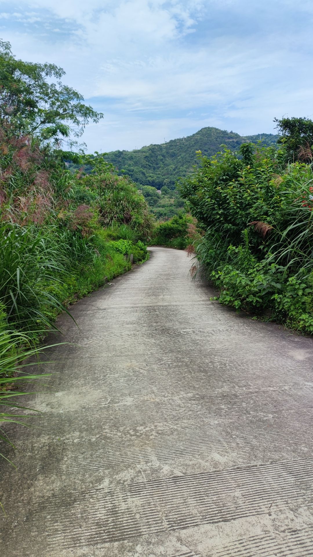 大沙岙海边休闲走廊旅行图片 2