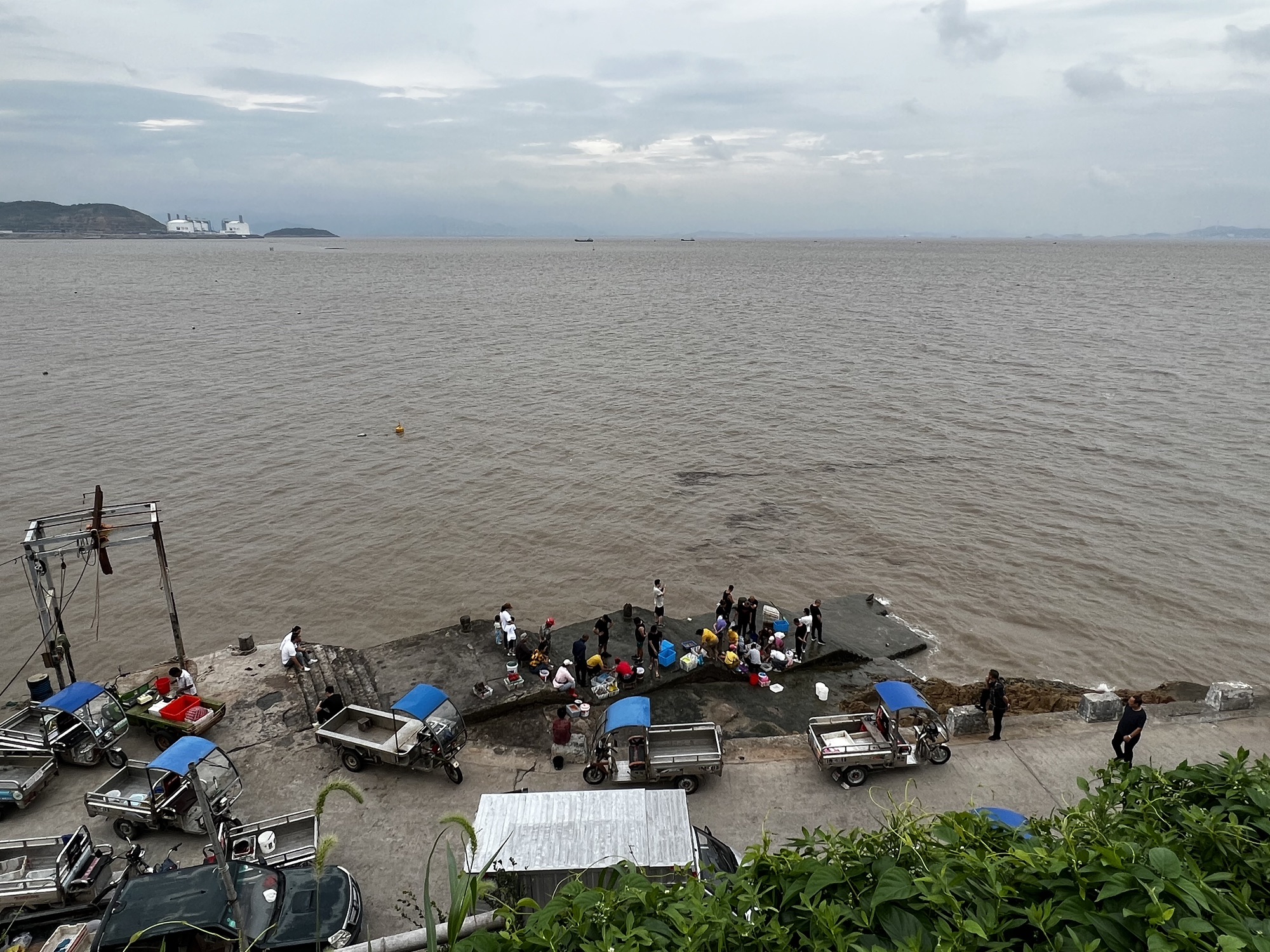 大沙岙海边休闲走廊旅行图片 3