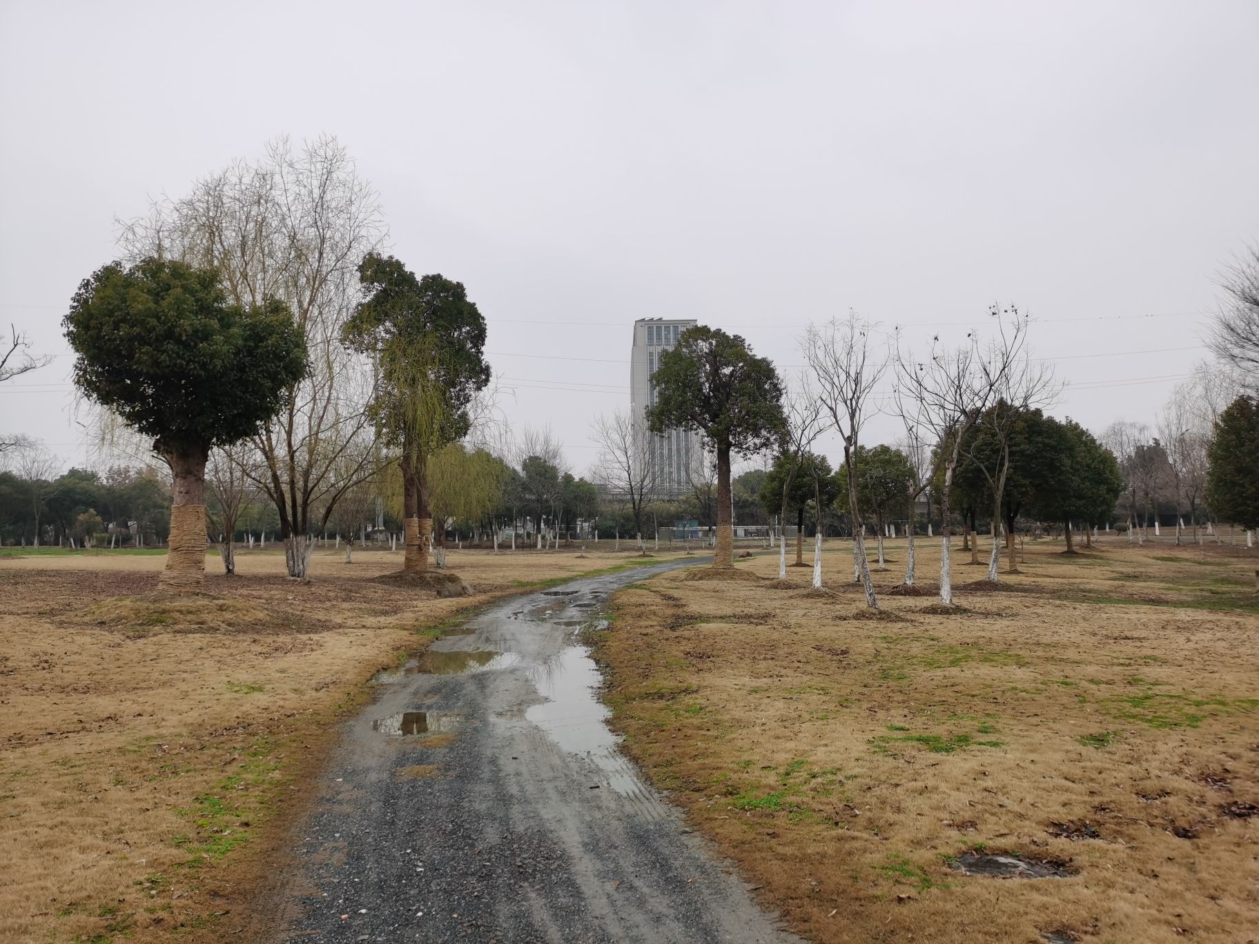 莲花公园旅行图片 3